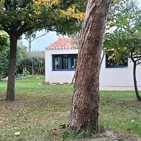 500 M De La Mer, Jardin, 6 Adultes 1 Enfant * Barbâtre